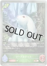 画像: ソードラビット