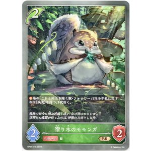 画像: 宿り木のモモンガ