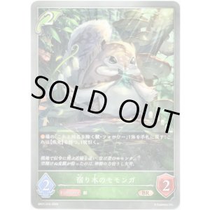 画像: 宿り木のモモンガ