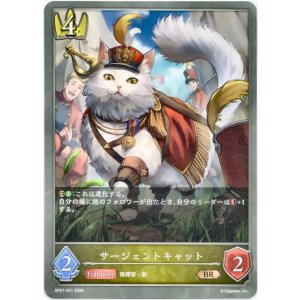 画像: サージェントキャット