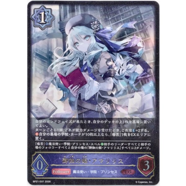 画像1: ※傷有り品（返品交換対象外）御伽の姫・アマリリス (1)