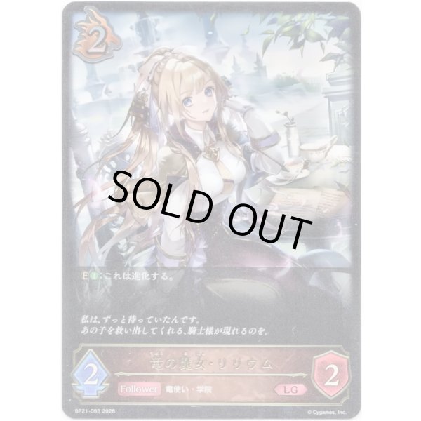 画像1: ※傷有り品（返品交換対象外）竜の魔女・リリウム (1)
