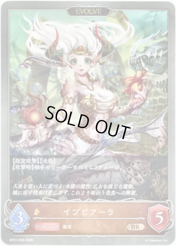 画像1: 【EVOLVE】イプピアーラ (1)