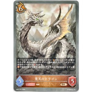 画像: 荒天のドラゴン