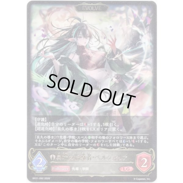 画像1: ※傷有り品（返品交換対象外）【EVOLVE】異端の指導者・ベルディリア (1)