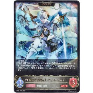 画像: ※傷有り品(返品交換対象外)【EVOLVE】嗚咽の聖騎士・ウィルバート