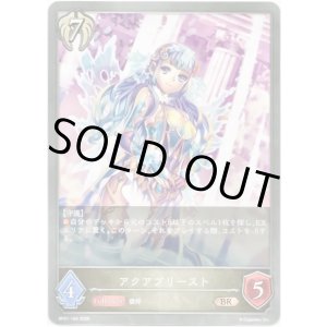 画像: アクアプリースト