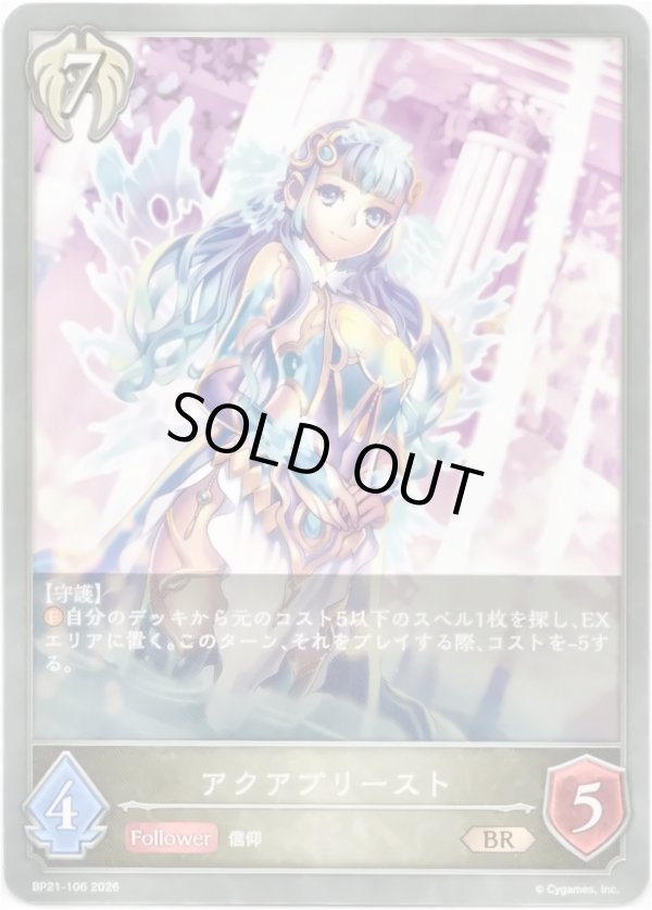 画像1: アクアプリースト (1)