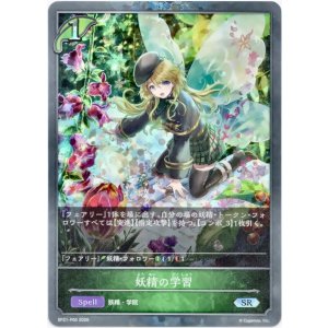 画像: 【プレミアム】妖精の学習