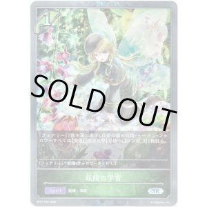 画像: 【プレミアム】妖精の学習