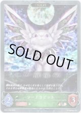 画像: 【プレミアム】【EVOLVE】ソードラビット