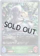 画像: 【プレミアム】宿り木のモモンガ