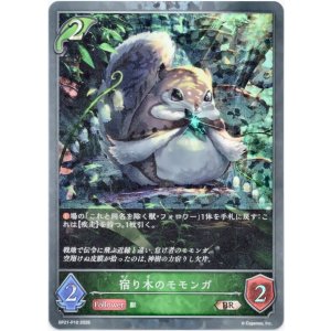 画像: 【プレミアム】宿り木のモモンガ