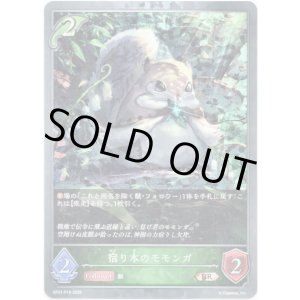 画像: 【プレミアム】宿り木のモモンガ