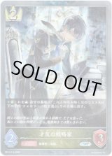 画像: 【プレミアム】才気の戦略家
