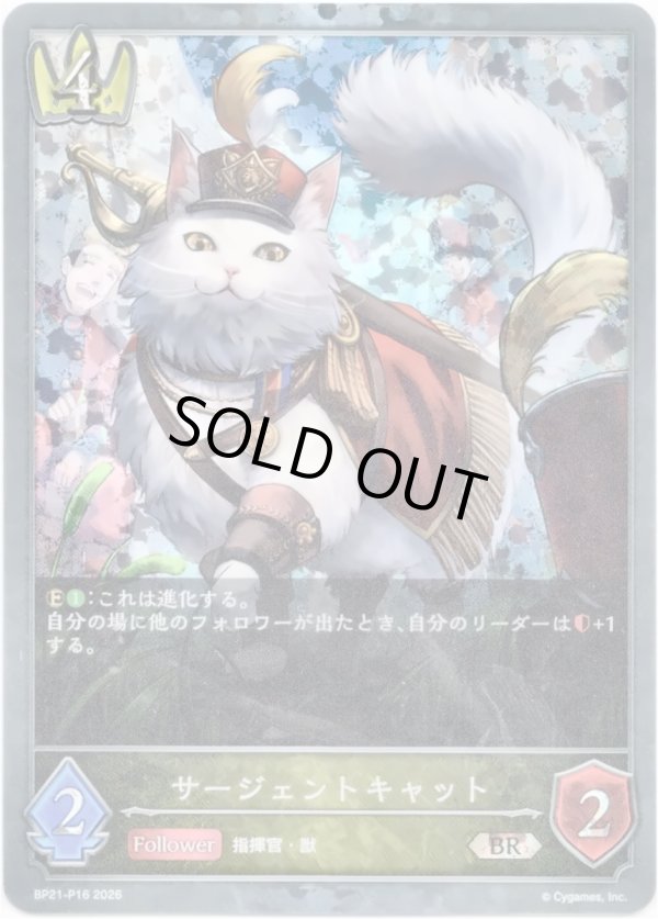画像1: 【プレミアム】サージェントキャット (1)