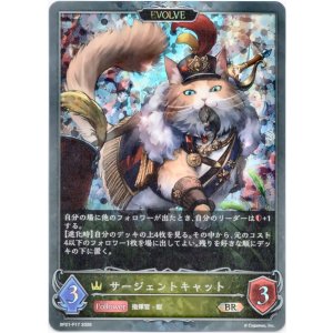 画像: 【プレミアム】【EVOLVE】サージェントキャット