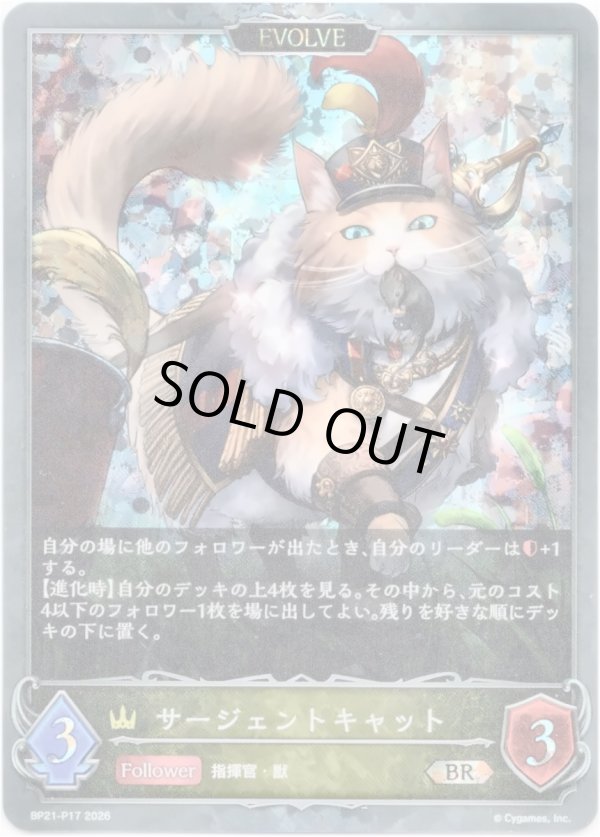 画像1: 【プレミアム】【EVOLVE】サージェントキャット (1)