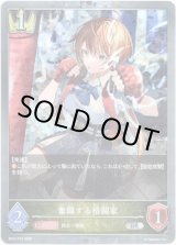 画像: 【プレミアム】奮闘する格闘家