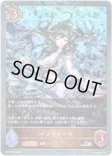 画像: 【プレミアム】イプピアーラ