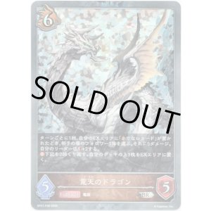 画像: 【プレミアム】荒天のドラゴン