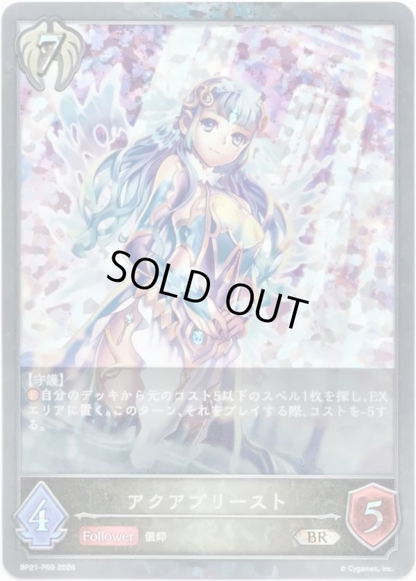 画像1: 【プレミアム】アクアプリースト (1)
