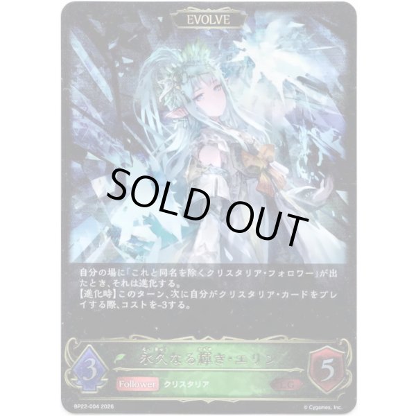 画像1: ※傷有り品（返品交換対象外）【EVOLVE】永久なる輝き・エリン (1)