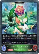 画像: 【EVOLVE】フラワーフォックス