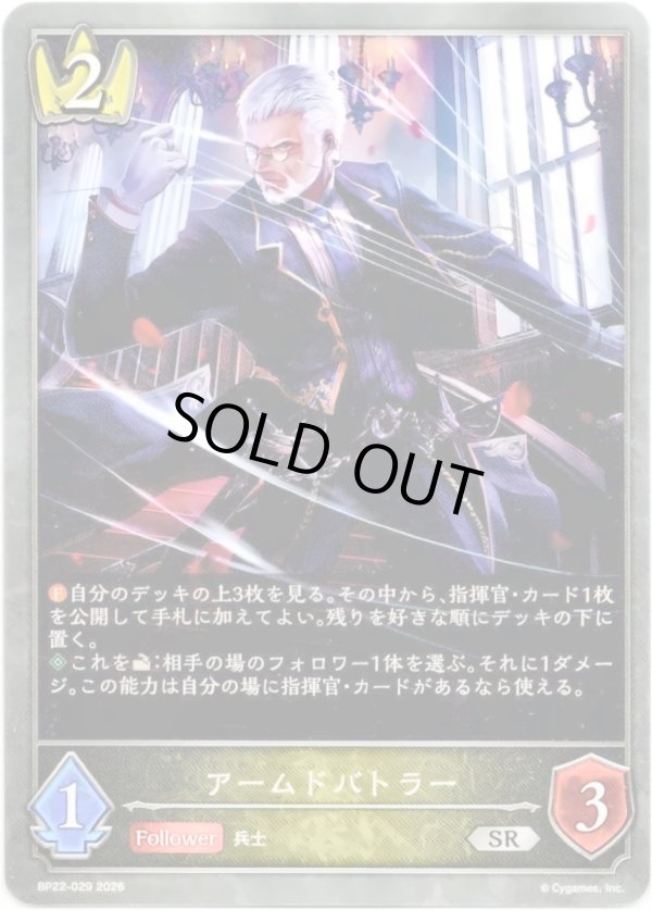 画像1: 【EVOLVE】アックスパイレーツ (1)