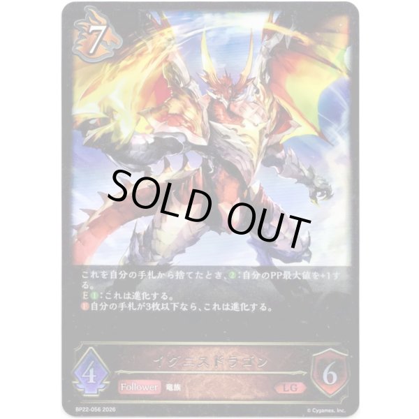 画像1: ※傷有り品（返品交換対象外）イグニスドラゴン (1)
