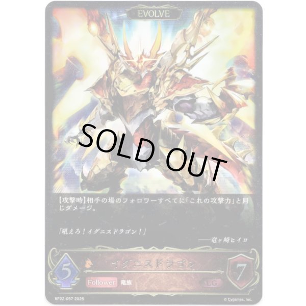画像1: ※傷有り品（返品交換対象外）【EVOLVE】イグニスドラゴン (1)