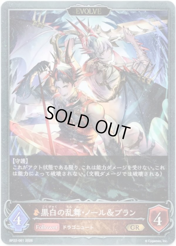 画像1: 【EVOLVE】黒白の乱舞・ノール＆ブラン (1)