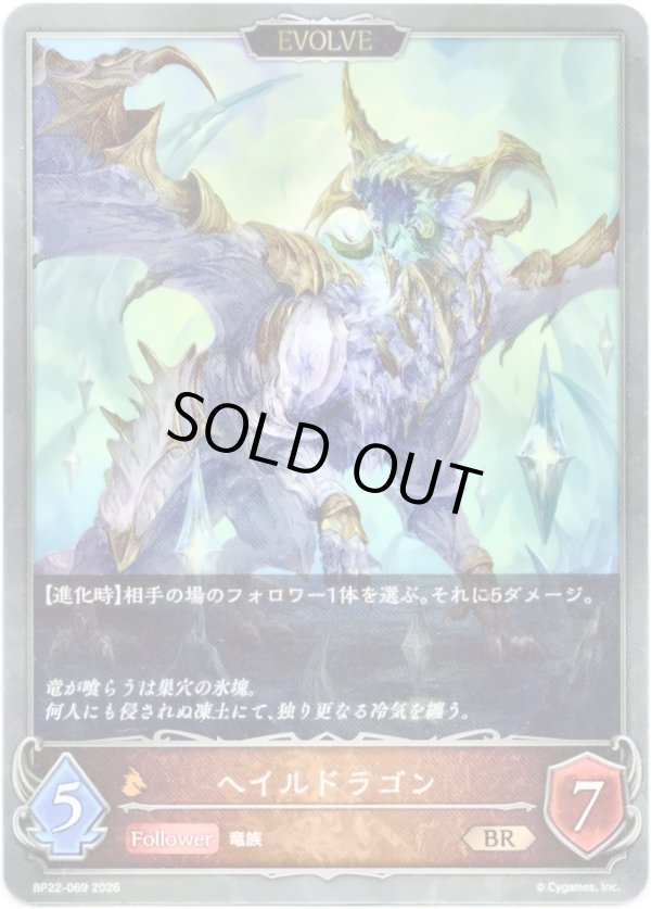 画像1: 【EVOLVE】ヘイルドラゴン (1)