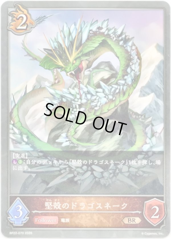 画像1: 堅殻のドラゴスネーク (1)
