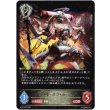 画像1: ※傷有り品（返品交換対象外）ゴッド・オブ・カース (1)
