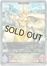 画像: 【EVOLVE】ホーリーキャット