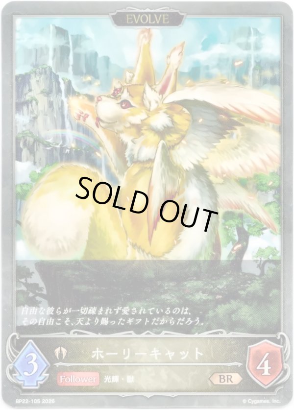 画像1: 【EVOLVE】ホーリーキャット (1)