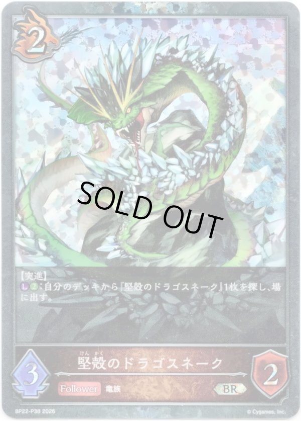 画像1: 【プレミアム】堅殻のドラゴスネーク (1)