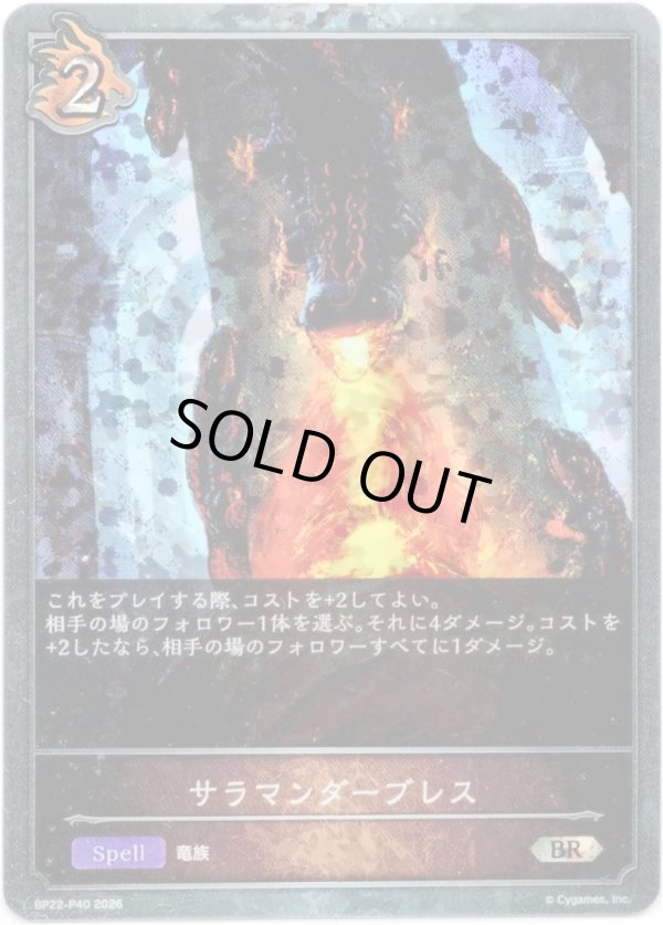 画像1: 【プレミアム】サラマンダーブレス (1)