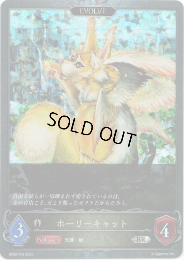 画像1: 【プレミアム】【EVOLVE】ホーリーキャット (1)