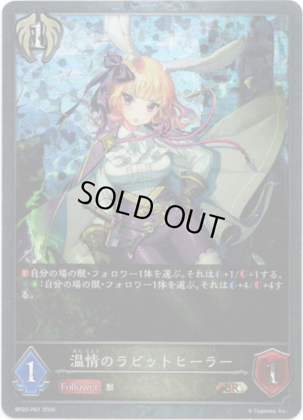 画像1: 【プレミアム】温情のラビットヒーラー (1)