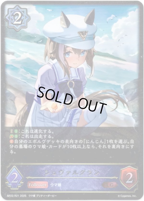 画像1: シュヴァルグラン (1)