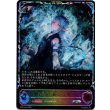 画像1: ※傷有り品（返品交換対象外）【スーパーレジェンド】永久なる輝き・エリン (1)