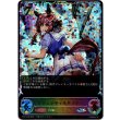 画像1: ※傷有り品（返品交換対象外）【スーパーレジェンド】ジェンティルドンナ (1)