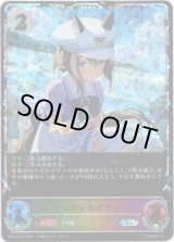 画像: 【スーパーレジェンド】シュヴァルグラン