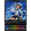 画像1: ※傷有り品（返品交換対象外）【スーパーレジェンド】【EVOLVE】シュヴァルグラン (1)
