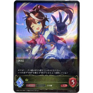 画像: 【EVOLVE】トウカイテイオー