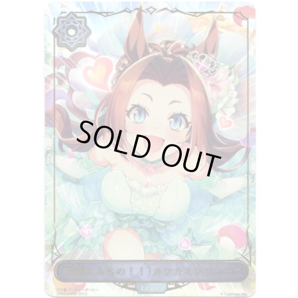 画像1: ※傷有り品（返品交換対象外）【リーダー】〔花嫁たるもの！！〕カワカミプリンセス (1)
