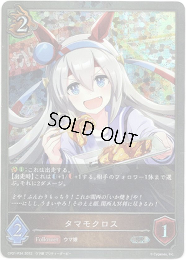 画像1: 【プレミアム】タマモクロス (1)