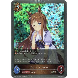 画像: 【プレミアム】グラスワンダー